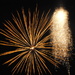 Golden Fireworks by genealogygenie
