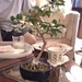 Dad's jasmine is blooming! by kchuk