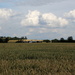 Wheat fields over Cambridgeshire by busylady