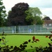 Just-4-July.Tennis. Court in the park. by wendyfrost