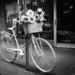 A basket, flowers and a bike by nicolecampbell