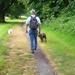 Walking the dogs by lellie