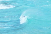 8th Jul 2014 - In the wave !