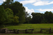 8th Jul 2014 - Pasture and wood fence, Magnolia Gardens, Charleston, SC