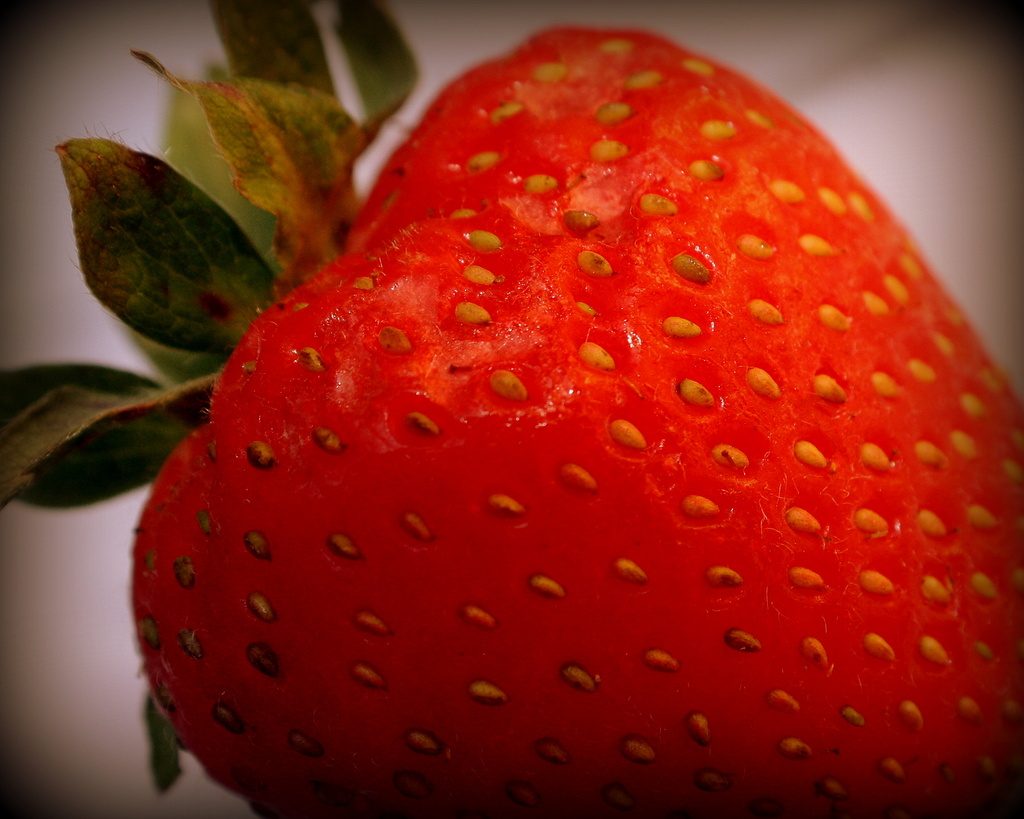 Day 189:  Strawberry by sheilalorson
