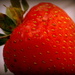 Day 189:  Strawberry by sheilalorson