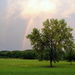 Be a Rainbow by genealogygenie