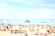 9th Jul 2014 - People at the beach...and the dolphin !