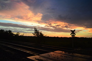 9th Jul 2014 - Crossbuck Means Yield for Kansas Sunrise
