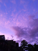 8th Jul 2014 - Purple Sky At Dusk