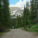 Spruce Creek Trail Road by lynne5477