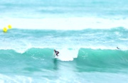 10th Jul 2014 - Mediterranean surfer