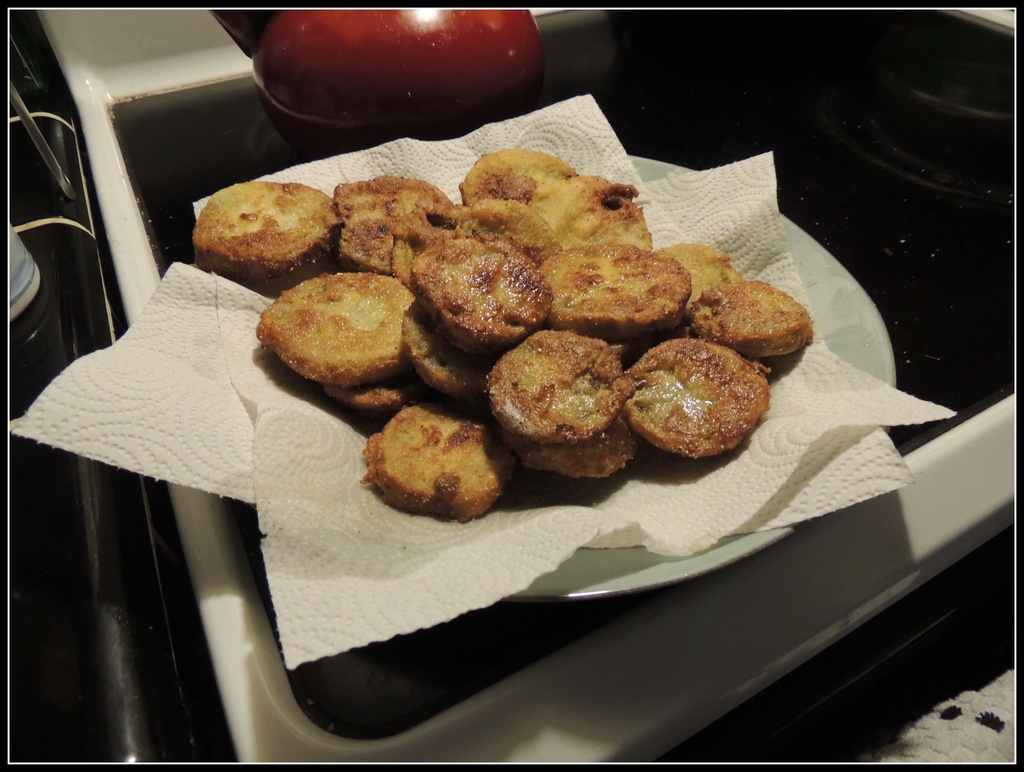 Fried Green Tomatoes by allie912