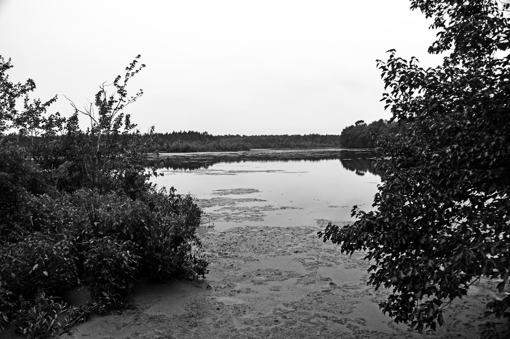 Pancoast Mill Pond by hjbenson