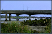 10th Jul 2014 - Mangere Bridge