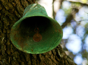 10th Jul 2014 - You Can Rust My Bell...