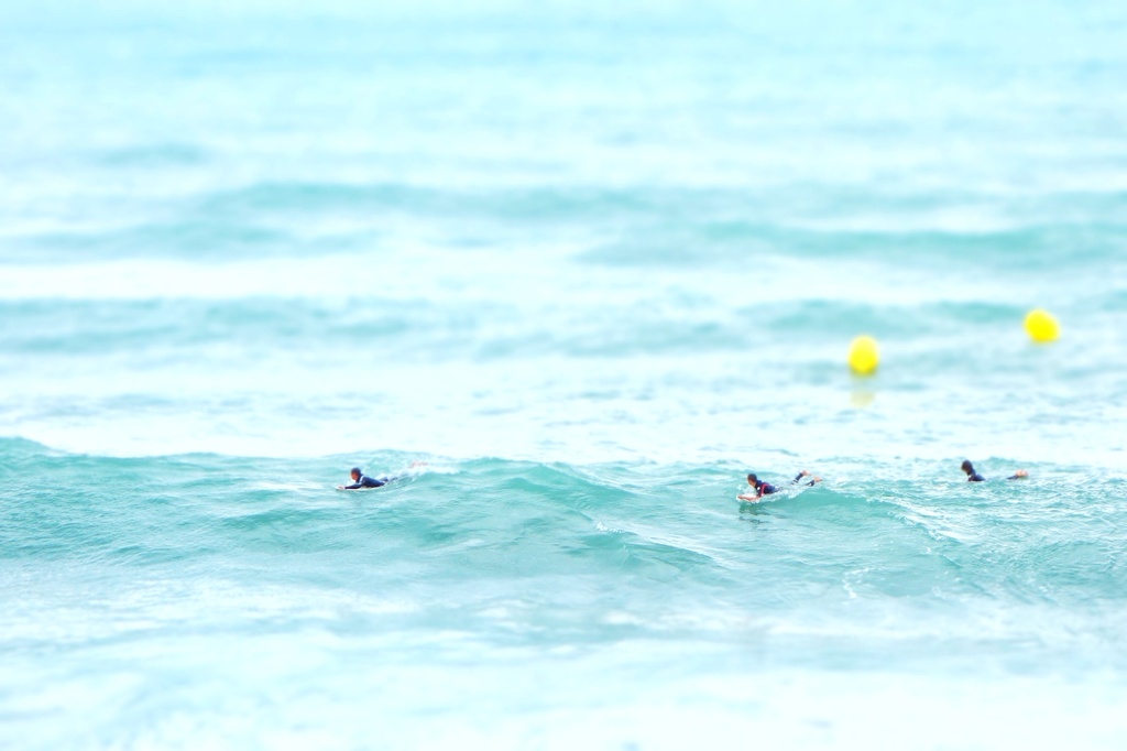 3 little surfers by cocobella
