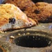 Muffins by edorreandresen
