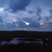 Marsh scene at sunset, Folly Beach, SC by congaree