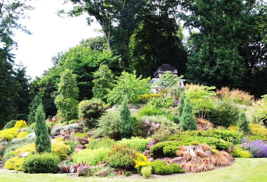Lenton Firs Rock Garden by oldjosh