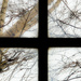 Window by yaorenliu