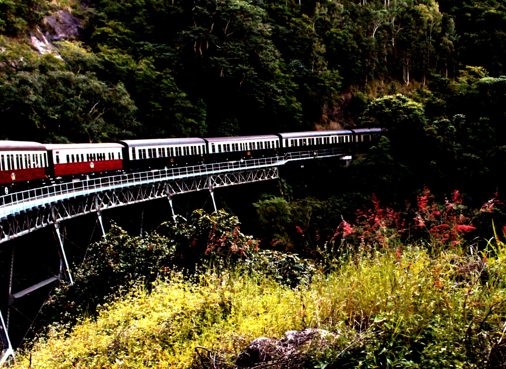 Kuranda train by kiwinanna