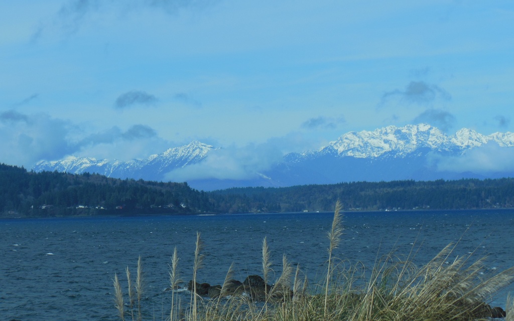 016 Olympic Mountains by seattlite