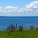 Summer Lake Superior by tosee