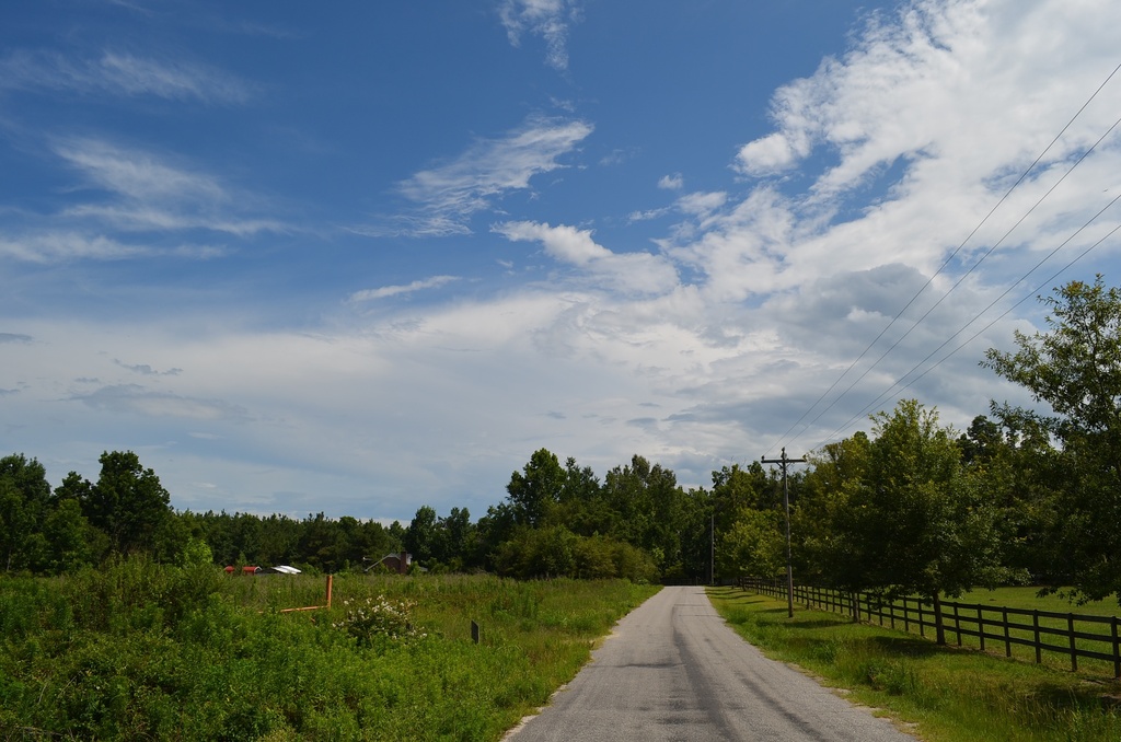 Country road, Dorchester County, SC by congaree