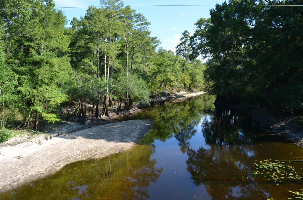 Four Holes Swamp near its confluence with the Edisto River, Dorchester County, SC by congaree
