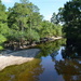 Four Holes Swamp near its confluence with the Edisto River, Dorchester County, SC by congaree