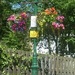 floral lamp post by sarah19