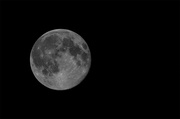 13th Jul 2014 - Super Luna / Super Moon 