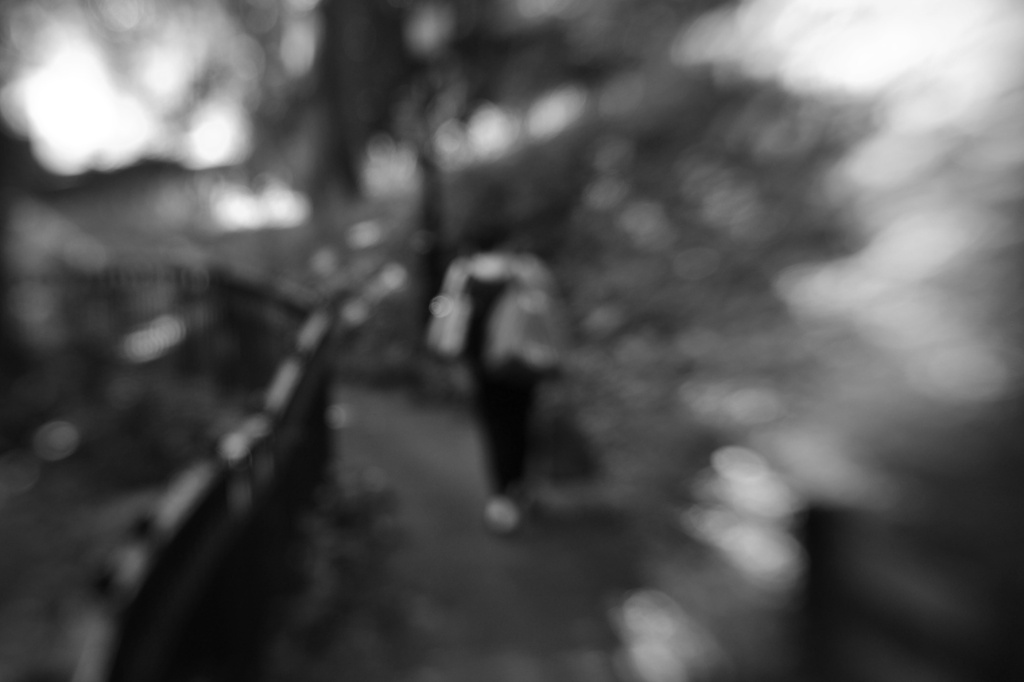 Lensbaby play by ziggy77