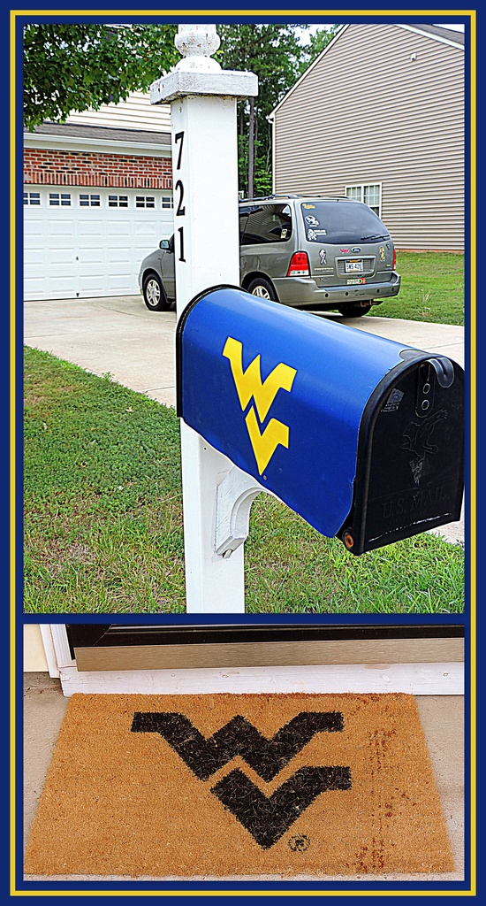 WVU fans live here! by homeschoolmom