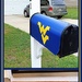 WVU fans live here! by homeschoolmom