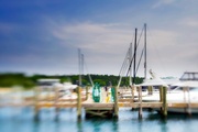 12th Jul 2014 - Lensbaby 7.  Sailboats in the Harbor