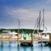 Lensbaby 7.  Sailboats in the Harbor by taffy