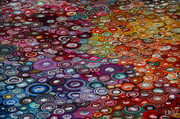 13th Jul 2014 - Colourful Carpet