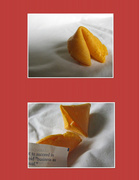 13th Jul 2014 - Fortune Cookie