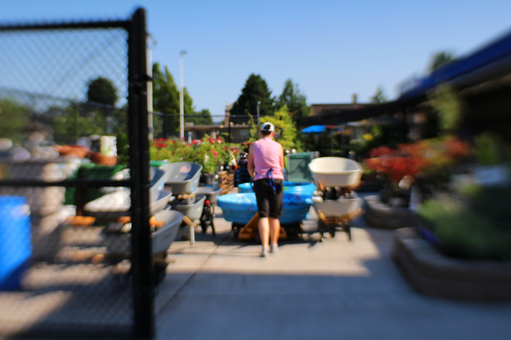 Running into the garden store by nanderson