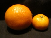 10th Dec 2009 - Small tangerine
