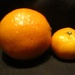Small tangerine by dora