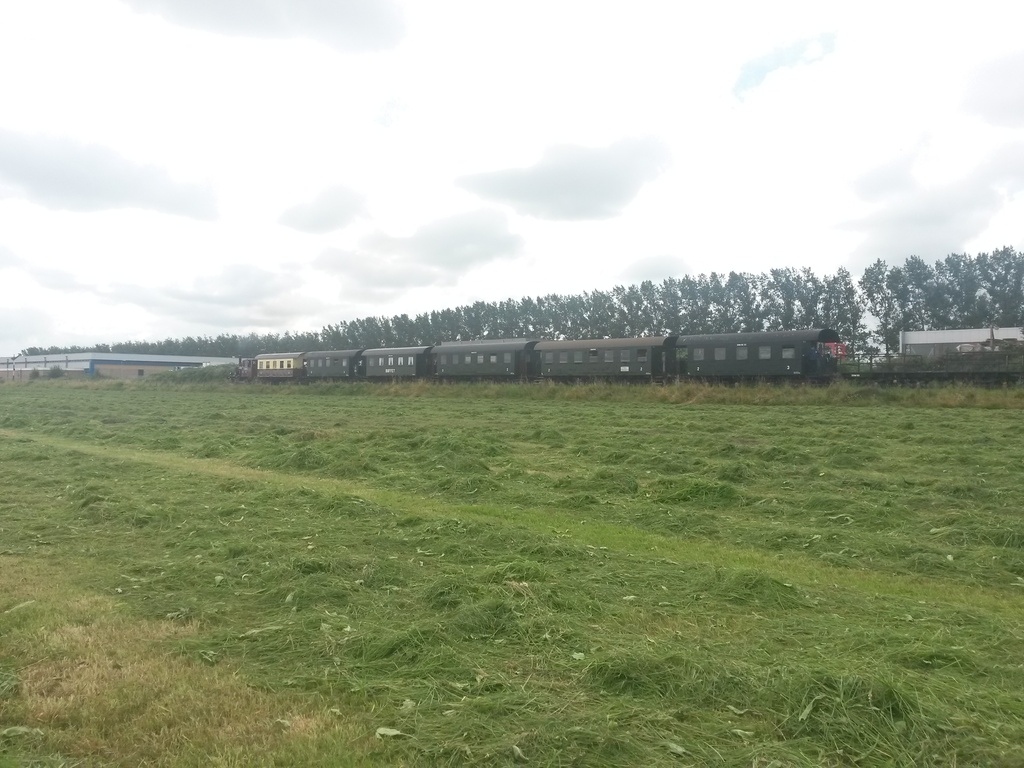 Nibbixwoud - Meadow by train365