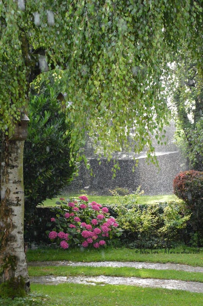 Summer rain by parisouailleurs