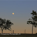 Super moon over Nanango Queensland by kerenmcsweeney