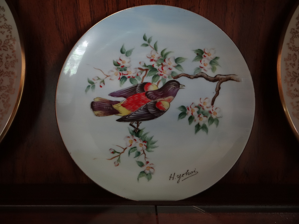 Bird Plates by brillomick