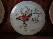 13th Jul 2014 - Bird Plates