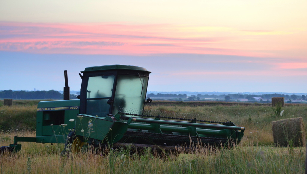 John Deere Gets His Beauty Rest by kareenking