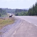 Reindeer crossing by kanelipulla